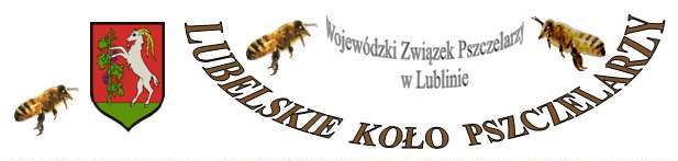 naglowek.jpg